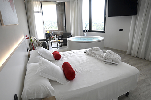 Deluxe Suite with Whirlpool Bath 12
