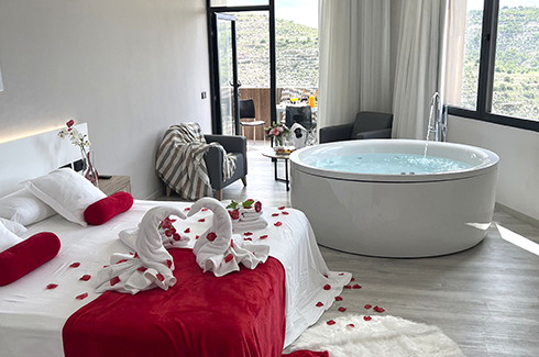 Deluxe Suite with Whirlpool Bath 15