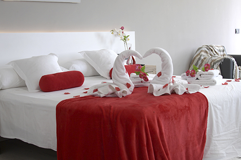 Deluxe Suite with Whirlpool Bath 24